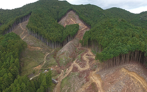 山林伐採管理地域写真